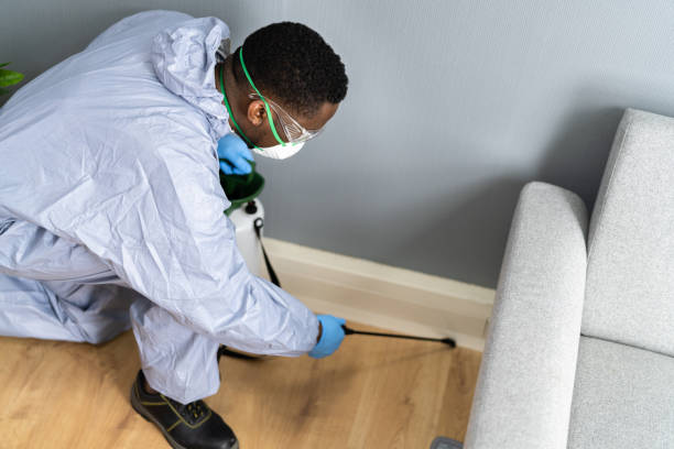 Best Real Estate Pest Inspections  in Shepherd, MI